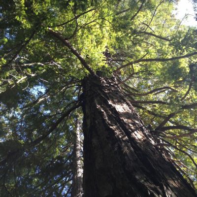 Elderhood in a Time of Trouble – Part 1 of 7 – Stephen Jenkinson